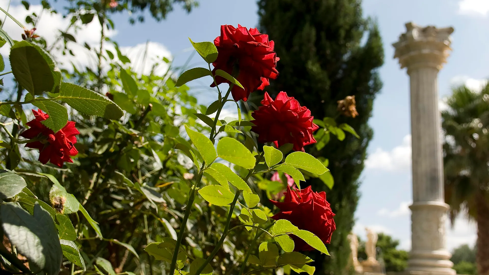 Es Revellar Art Resort - Adults Only كامبوس مزرعة للإقامة